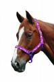 Roma Hearts Headcollar